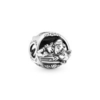 Charm Pandora Donna in Argento 790060C00 - 790060C00